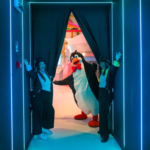 Polarettilandia - igloo experience
